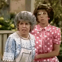 mamas family 80s GIF by absurdnoise