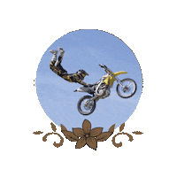 gippslandcountrymusicfest country music cowboy live music music festival Sticker