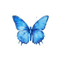 elistorycriativo butterfly elistorycriativo borboleta Sticker