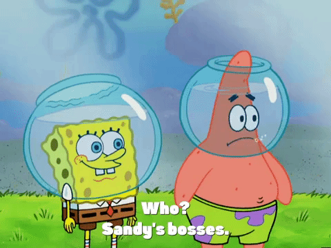 season 4 episode 10 GIF by SpongeBob SquarePants