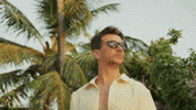 Palm Tree Summer GIF by DEEPSYSTEM
