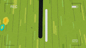 goldenwolf football soccer summer sunshine GIF