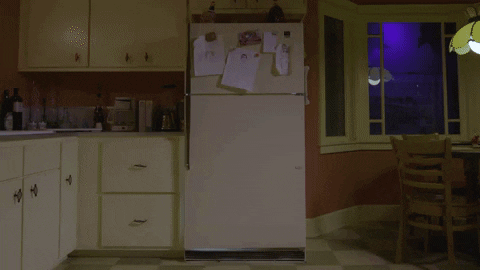 meowwolf giphyupload portal fridge refrigerator GIF