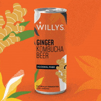 willysacv health wellness drinks kombucha GIF