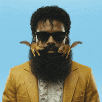 Hair Wtf GIF by Jukebox Saints