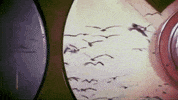 Loop Spin GIF