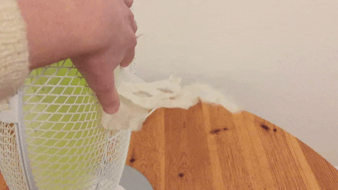 capucinerobert giphyupload GIF