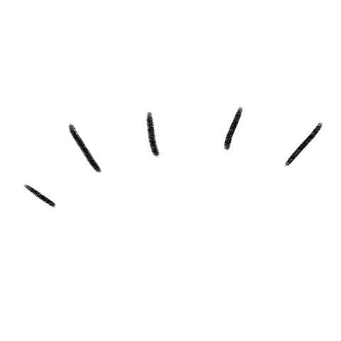 Lines Linien Sticker by 27°