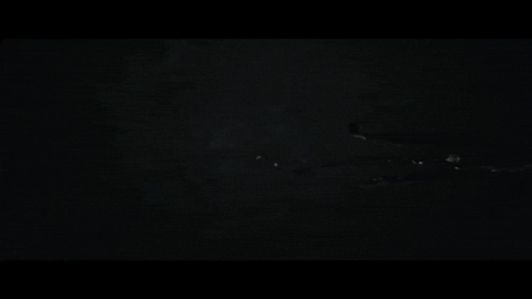 rosie lowe birdsong GIF