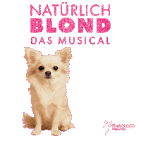 First Stage Sticker by Stage School Hamburg