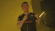 Lfl GIF by Team Vitality