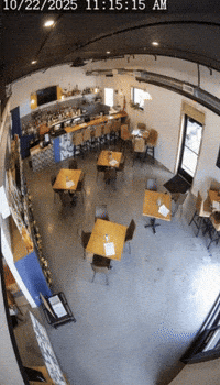 Trending Vibe GIF by Darwin