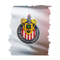 Rebano Sagrado Guadalajara Sticker by PUMA