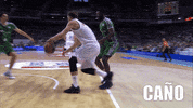 real madrid basketball GIF by ACB