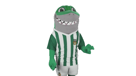 Liga Nos Football Sticker by Rio Ave Futebol Clube