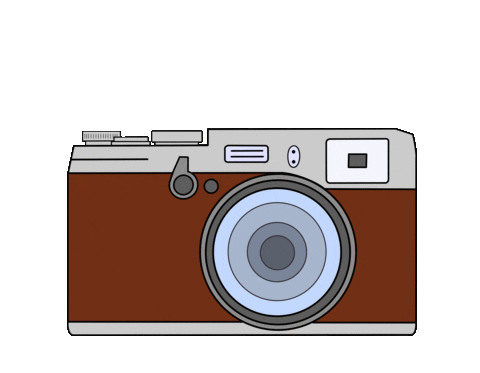 Camera Connection Sticker by WhatsApp SIM