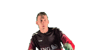 Vogels8 8Tegengoal Sticker by Valleivogels