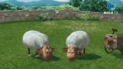 Fun Love GIF by Mola TV Kids