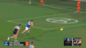 afl afl finals aussie rules australian football league GIF