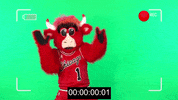 benny the bull nba GIF by Chicago Bulls