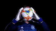 germany ball GIF by DFB-Teams