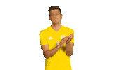 football soccer Sticker by 1. fotbalová liga
