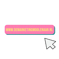 demarketingmoolenaar website dmm de marketing moolenaar demarketingmoolenaar Sticker