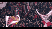 football fans GIF