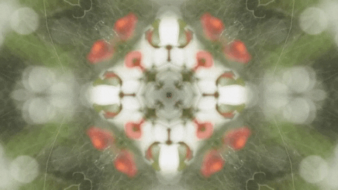 Art Love GIF by jorgemariozuleta