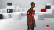 Posing Line Up GIF by Bundesliga