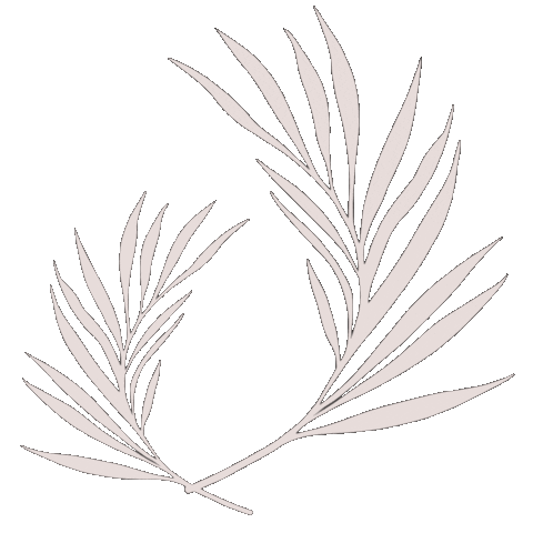 Leaf Leaves Sticker
