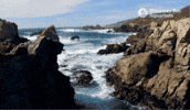 Big Sur Ocean GIF by Monterey Bay Aquarium