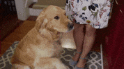 Summer Fun Love GIF by Hallmark Channel
