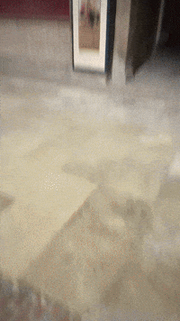 European Union Travel GIF