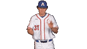 Uta Mavup Sticker by UT Arlington Baseball
