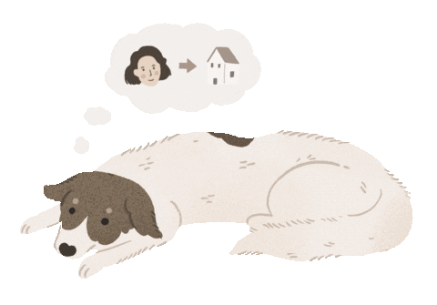 Animated Sticker