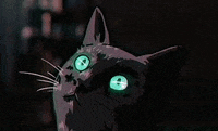 Cat Summit GIF by SUMMIT, Inc.