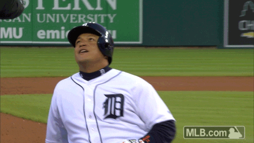 Major League Baseball Reaction GIF by Detroit Tigers