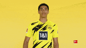 Breaking Social Media GIF by Bundesliga