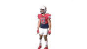 Gio G13 Sticker by Richmond Spiders