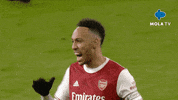 Disappointed Premier League GIF by MolaTV
