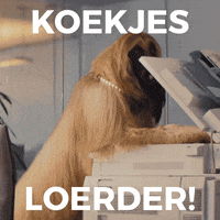 Julesdestrooper  GIF