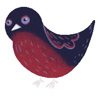 Red And Blue Bird Sticker