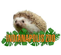 Indyzoo Sticker by Indianapolis Zoo