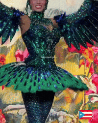 Puerto Rico Mupr GIF