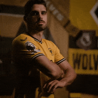 Premier League Football GIF by Wolves