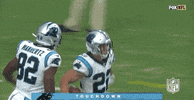 Carolina Panthers Football GIF by NFL