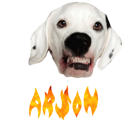 Dog Dalmatian Sticker