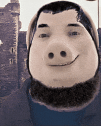 Islam Makhachev Magomed GIF