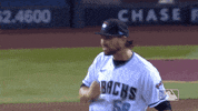 GIF by MLB